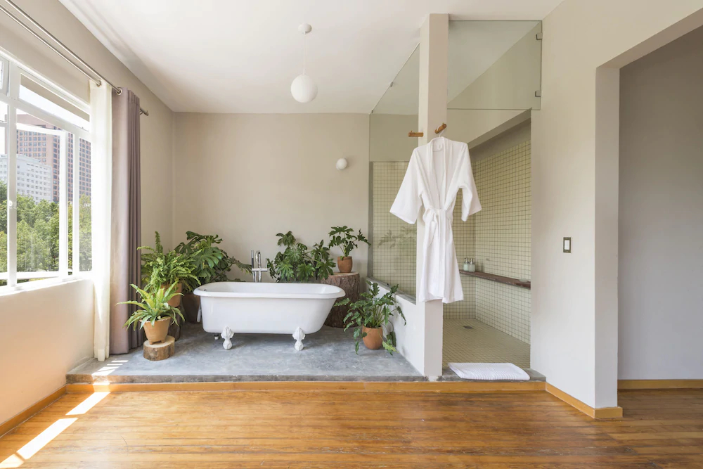 Chaya B & B Boutique