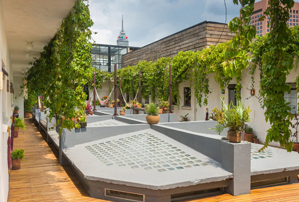 Chaya B & B Boutique