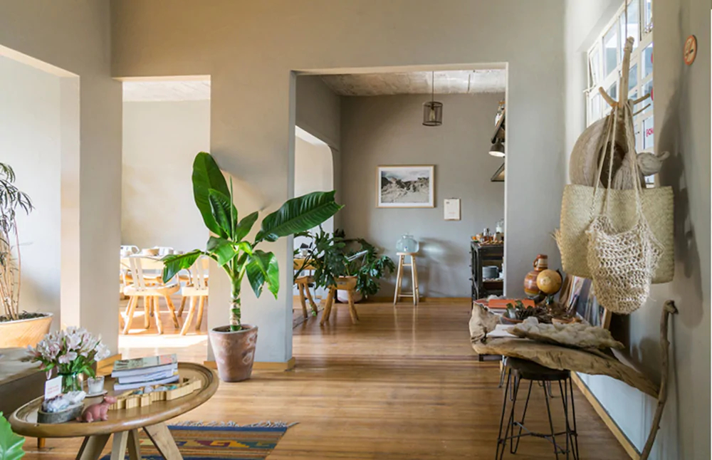 Chaya B & B Boutique
