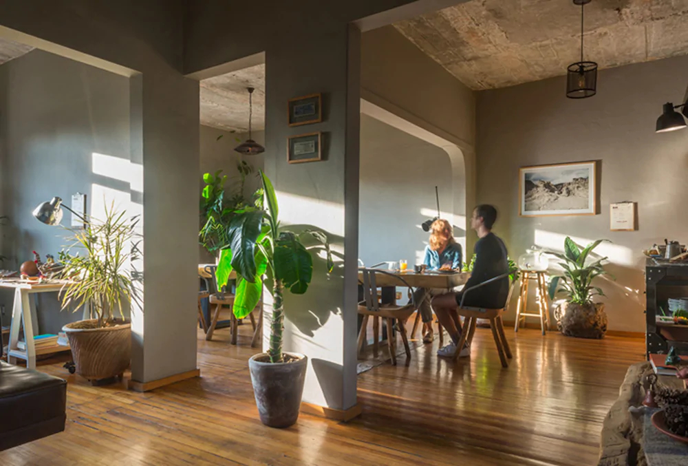 Chaya B & B Boutique