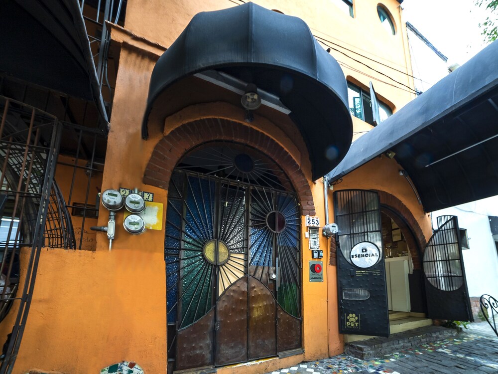 Coyotito Beds San Angel, Suites con Encanto