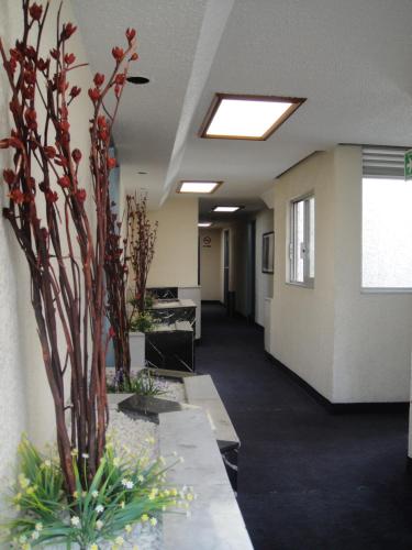 Ayenda El Patio CDMX