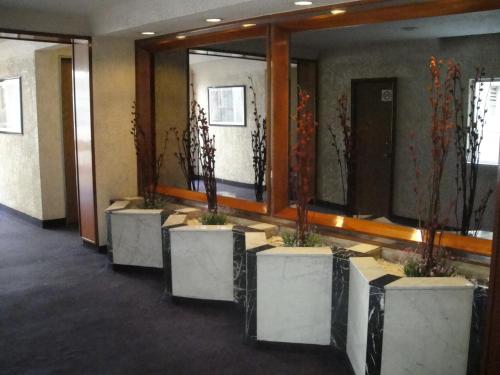 Ayenda El Patio CDMX