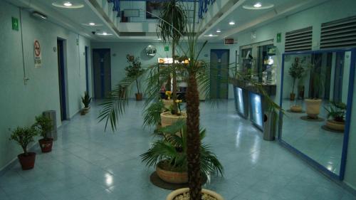 Hotel Muy-Adults-Only