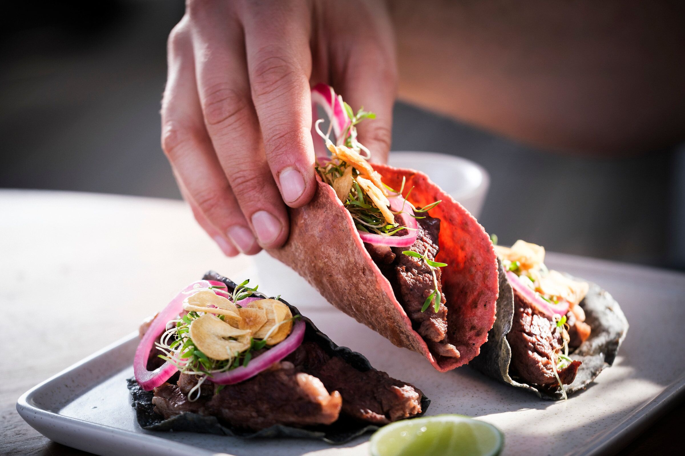 Kimpton Virgilio Polanco