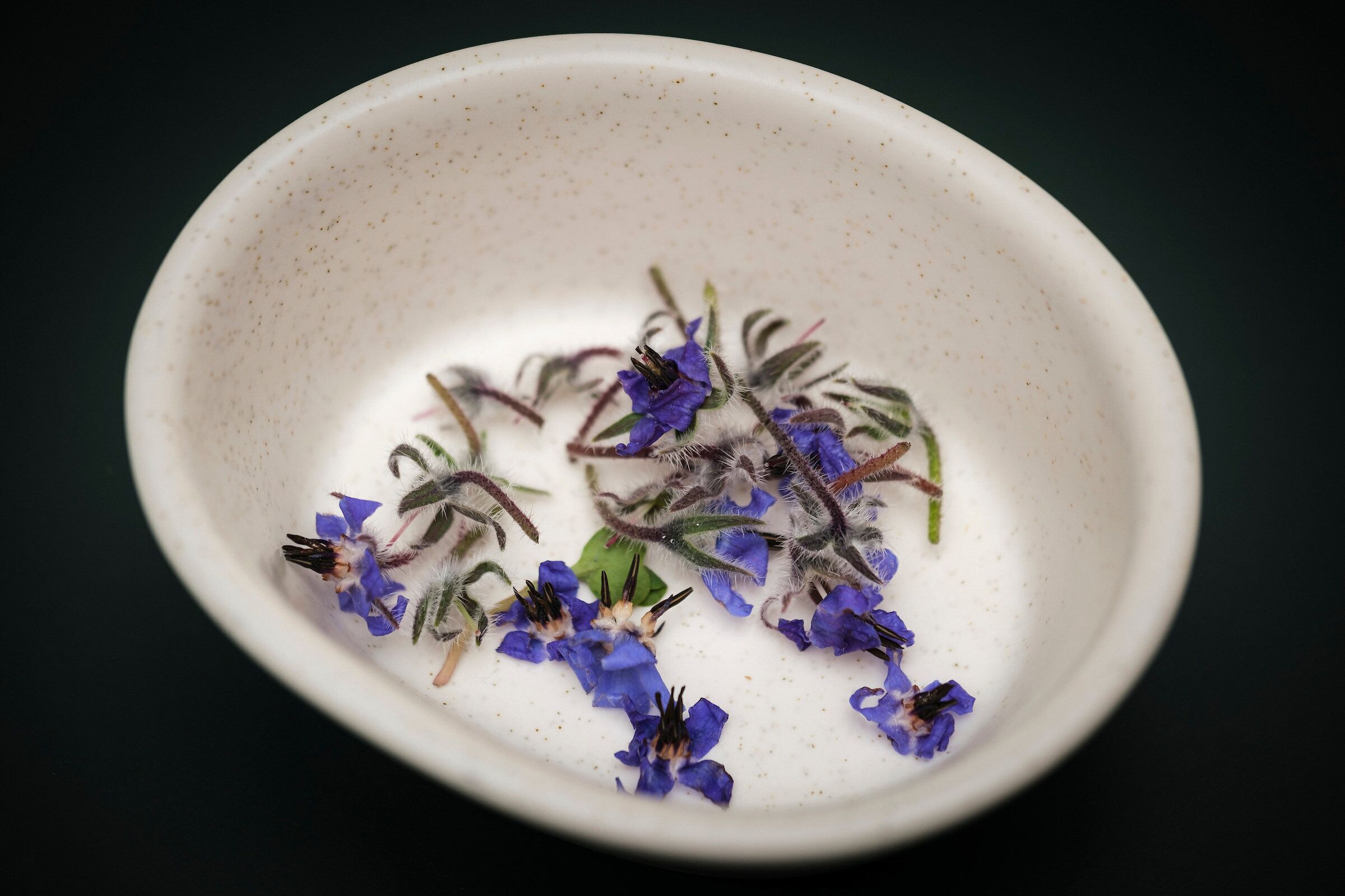 Kimpton Virgilio Polanco