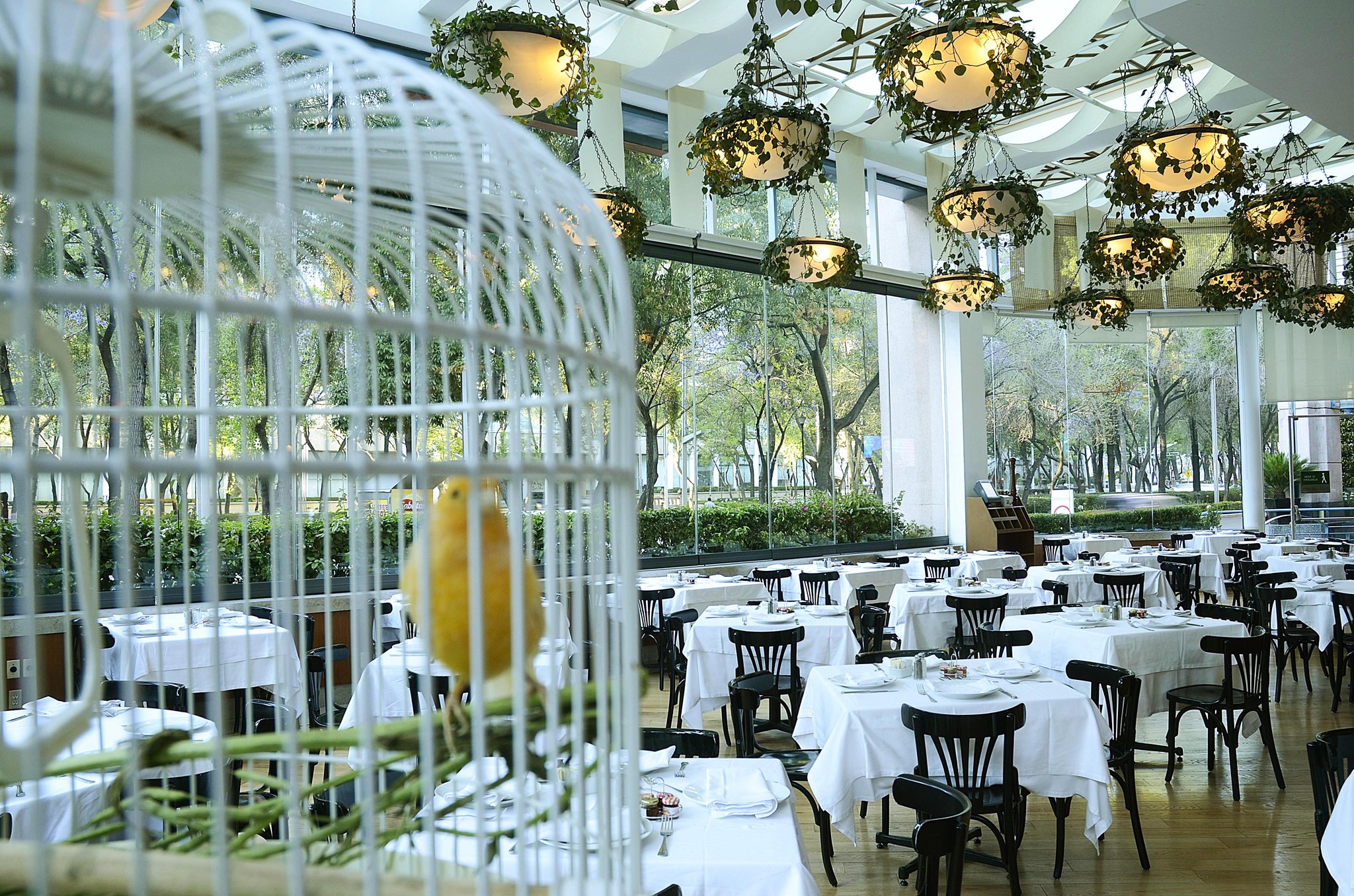 Marquis Reforma