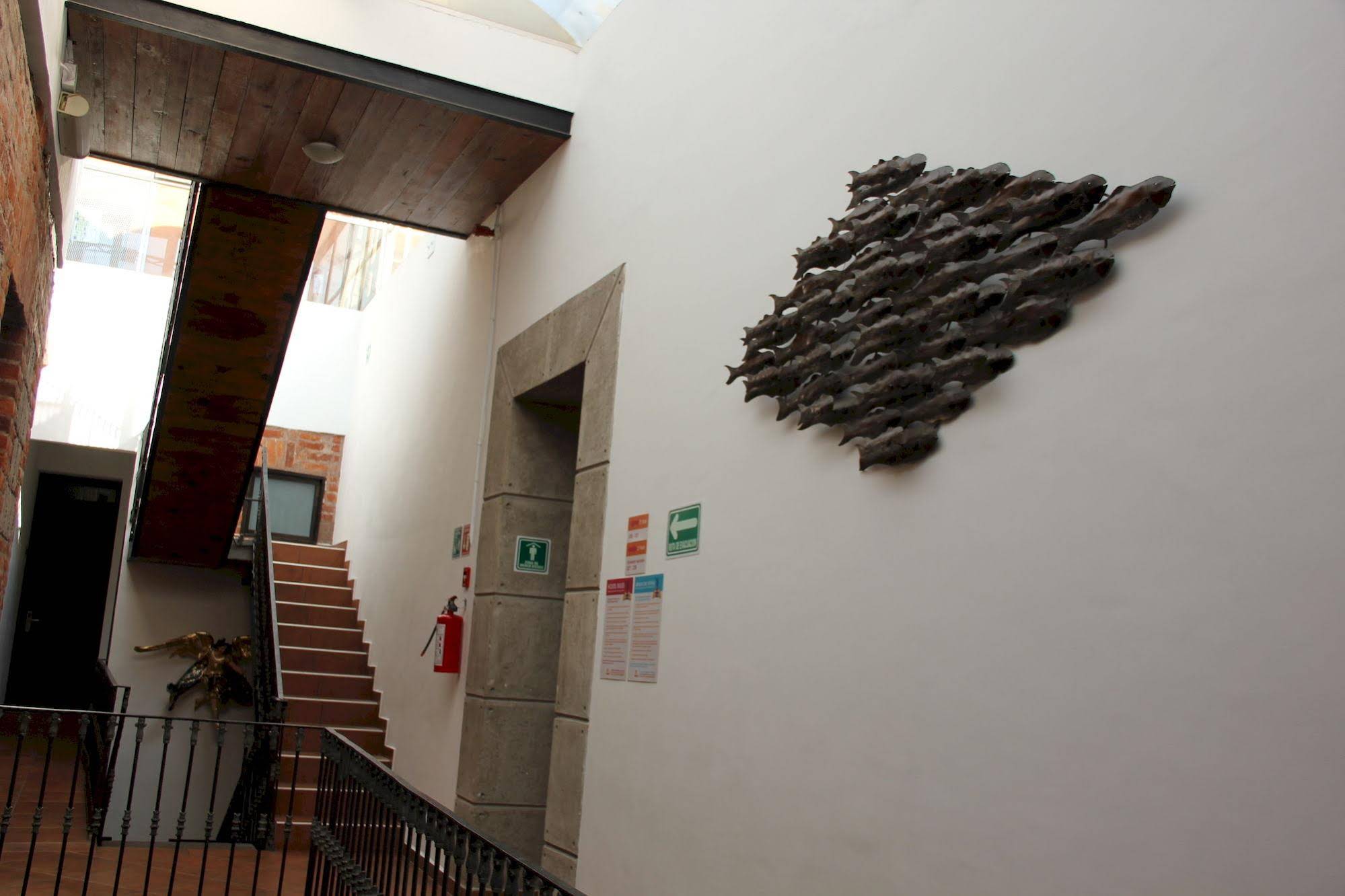 Mexico City Hostel