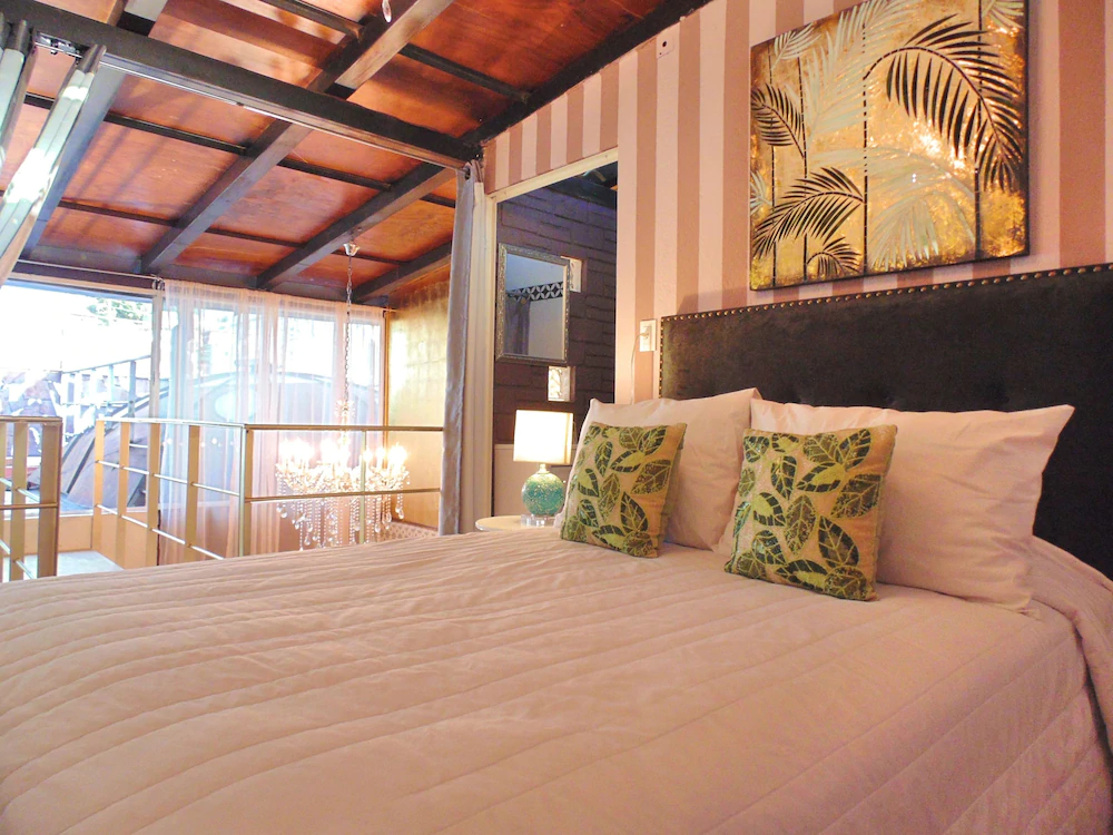 Coyotito Beds Coyoacan