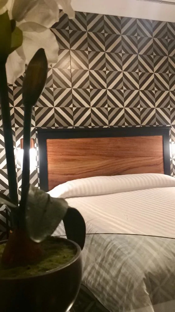 Coyotito Beds Coyoacan