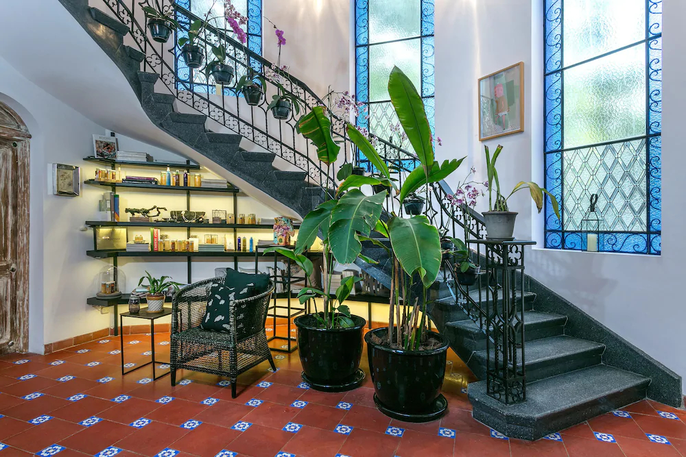 Orchid House