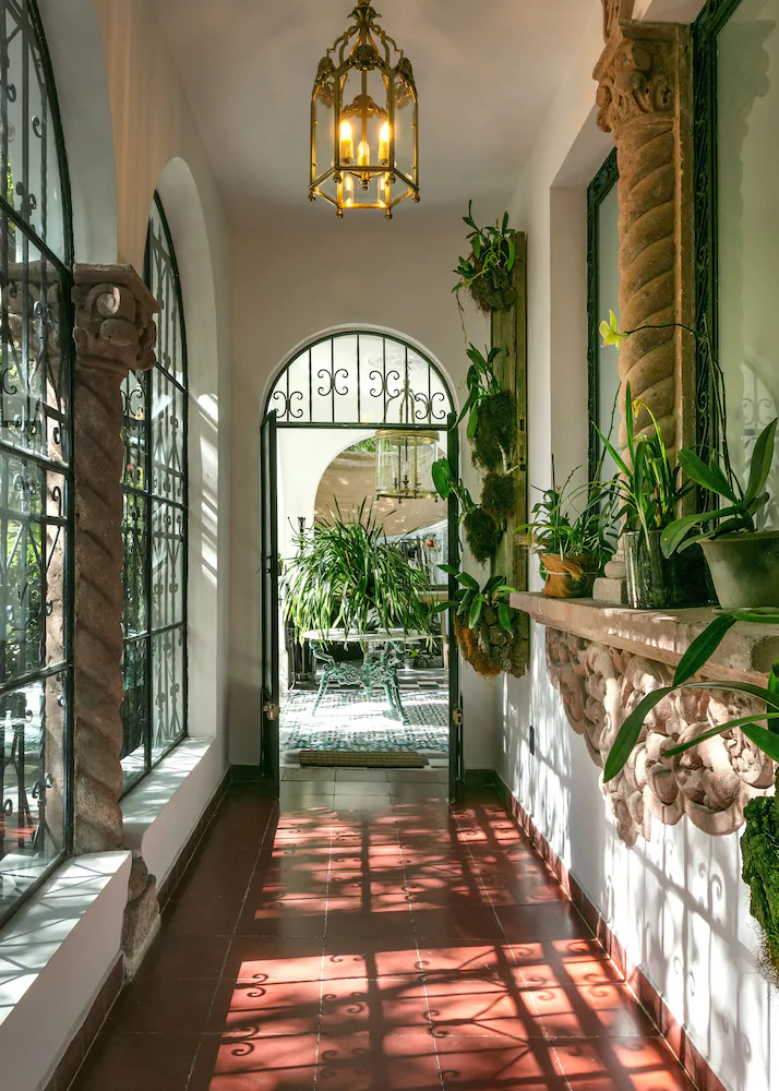 Orchid House
