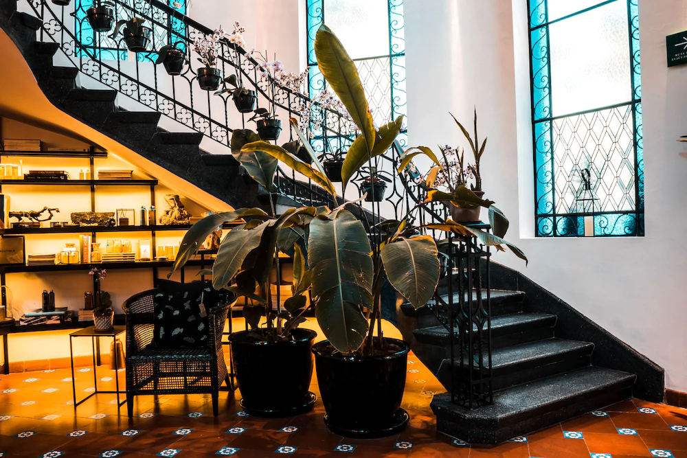 Orchid House