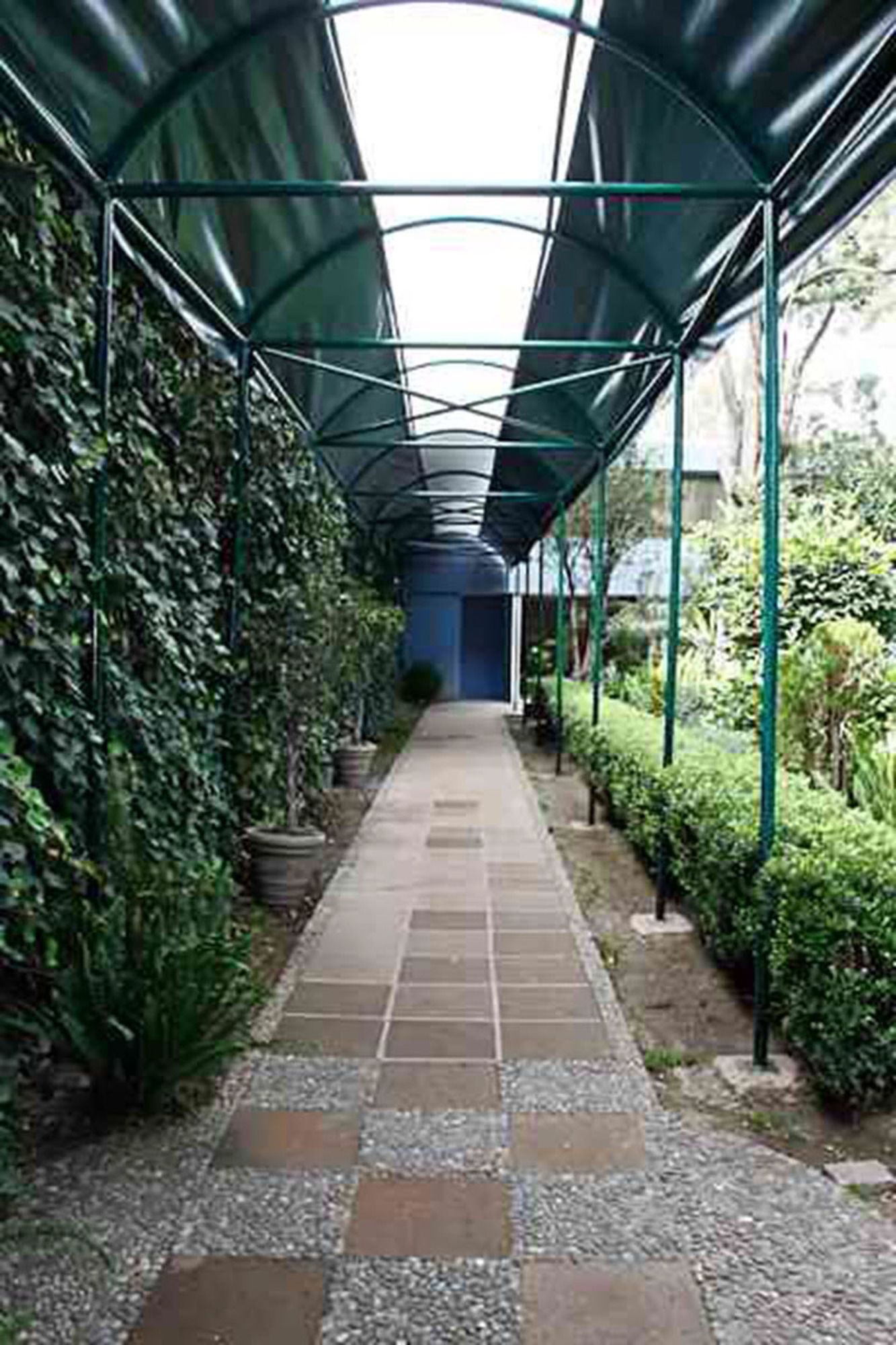 Pedregal Palace