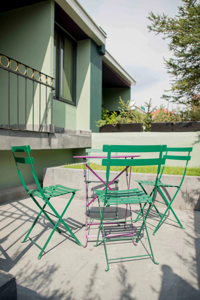 Pug Seal Anatole France