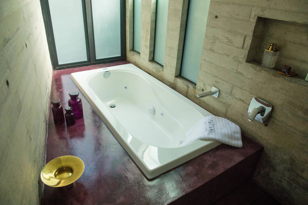 Pug Seal Anatole France