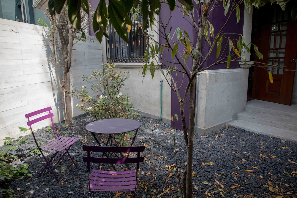 Pug Seal Anatole France