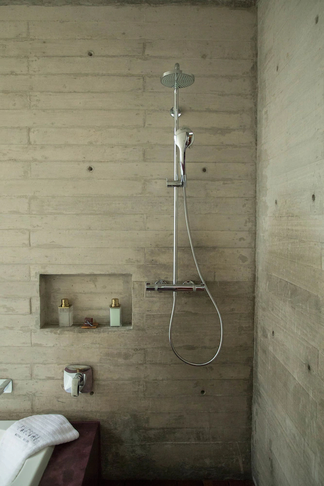 Pug Seal Anatole France