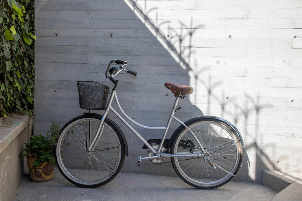 Pug Seal Anatole France