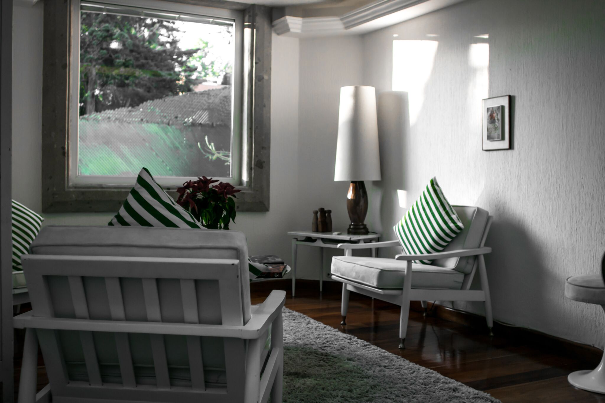 Pug Seal Boutique B&B