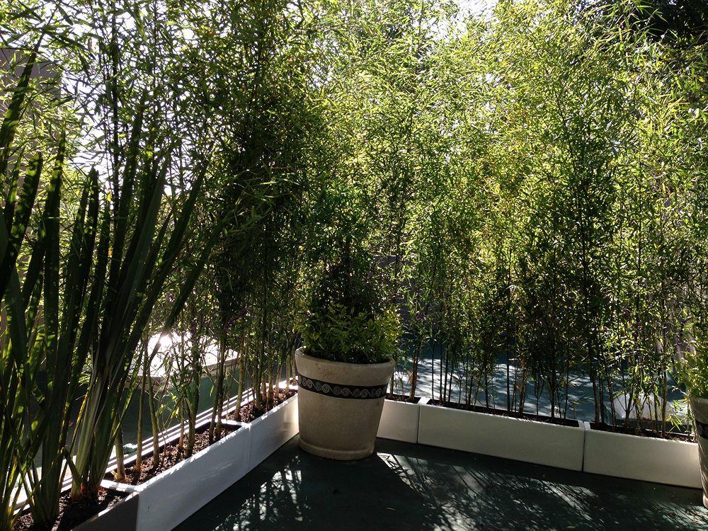 Pug Seal Boutique B&B