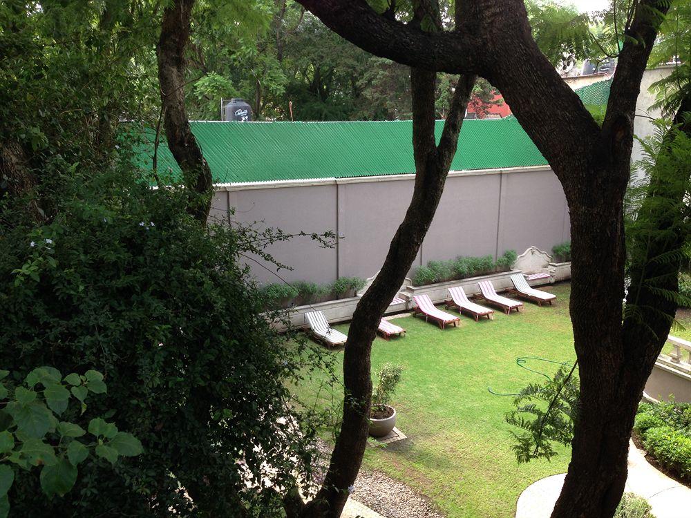 Pug Seal Boutique B&B