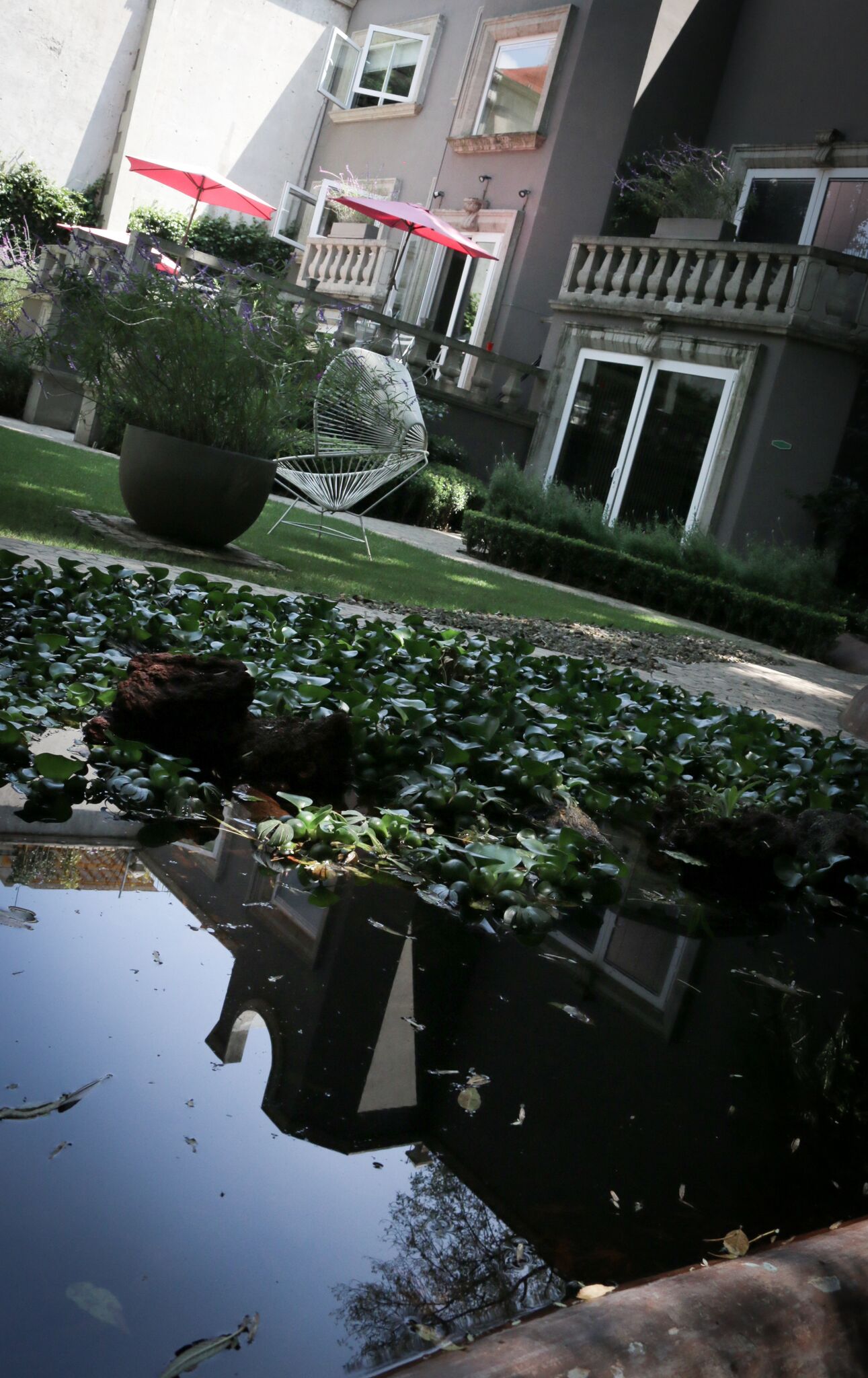 Pug Seal Boutique B&B