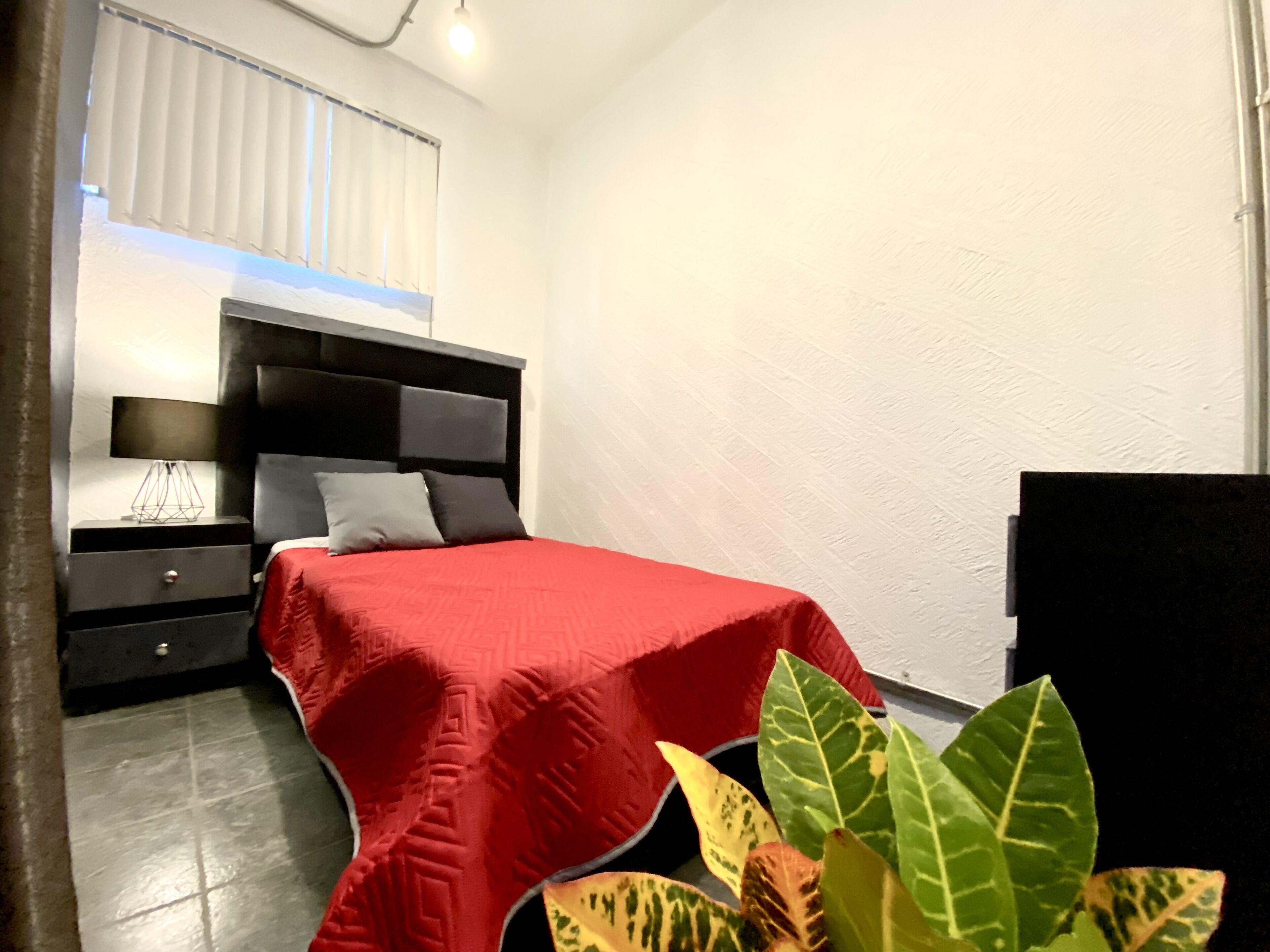 Roomies Hostel Reforma-El Ángel