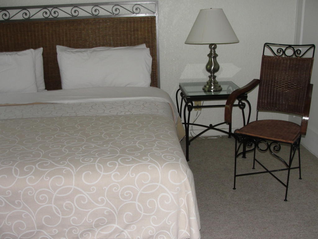 Steinhaus Homero 829