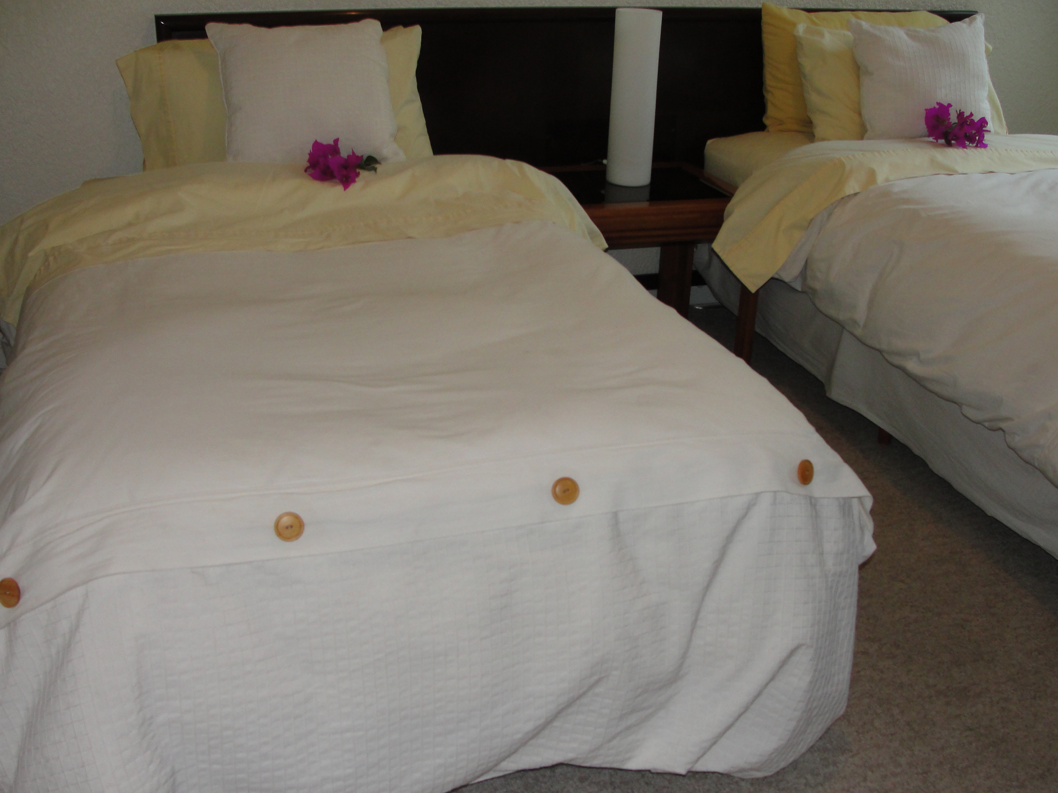 Steinhaus Homero 829
