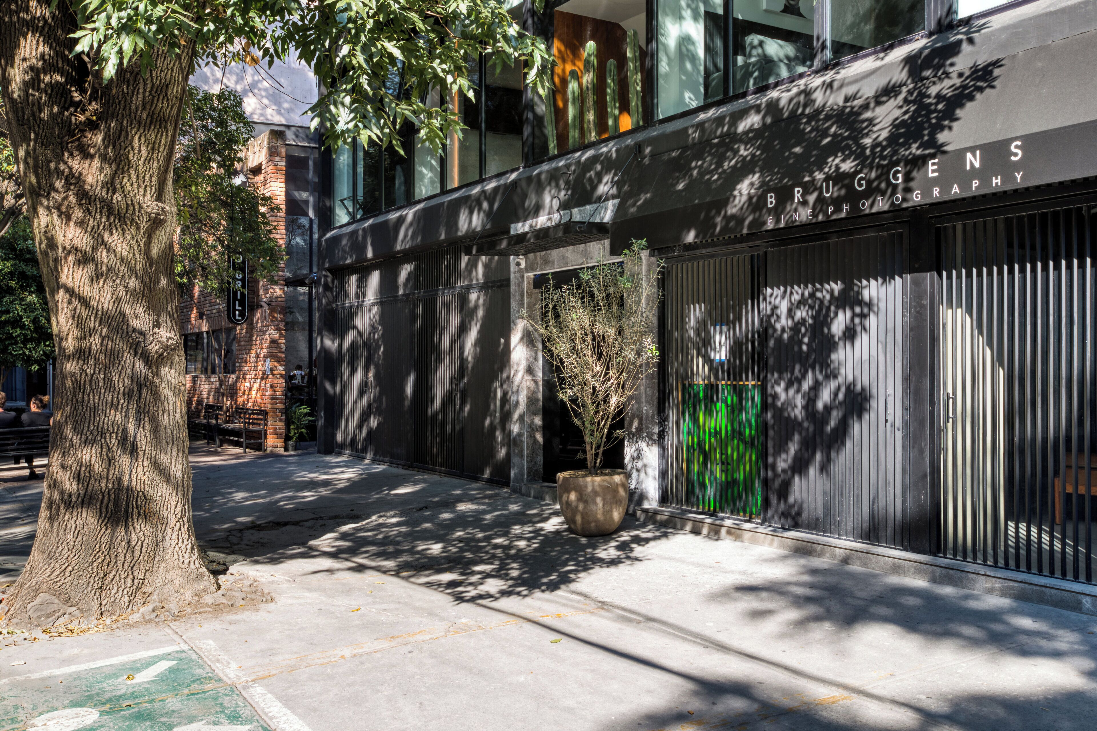 Uliv Park Polanco