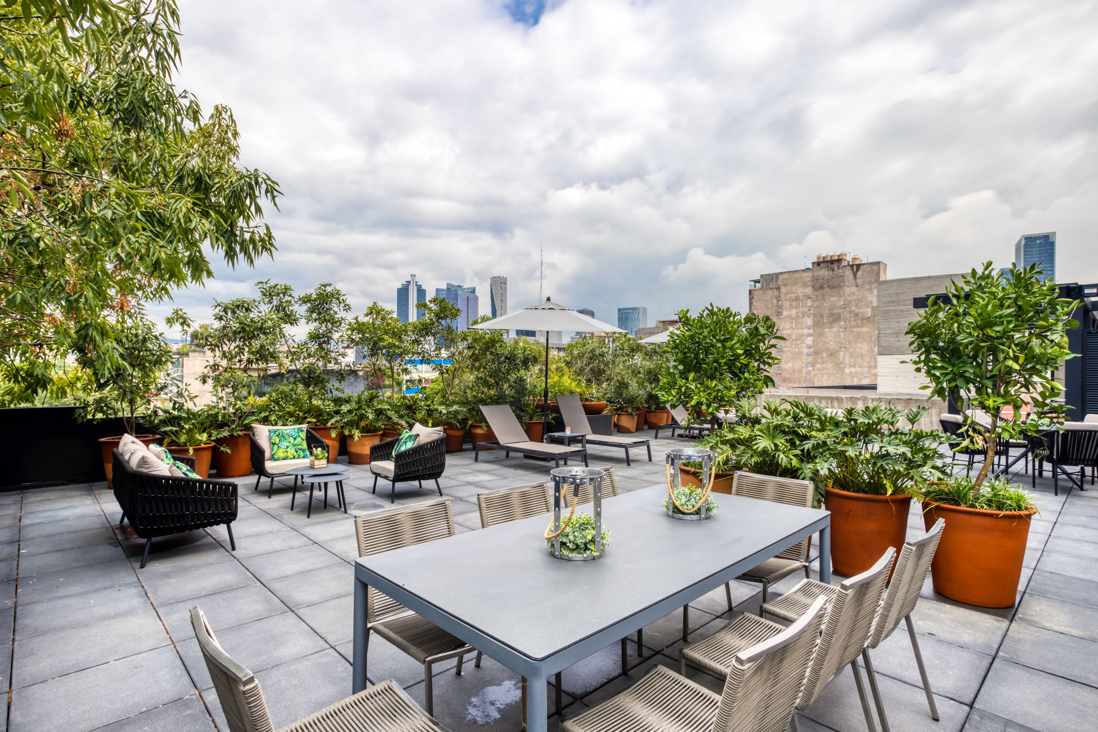 Boga Mexico City by Lumina