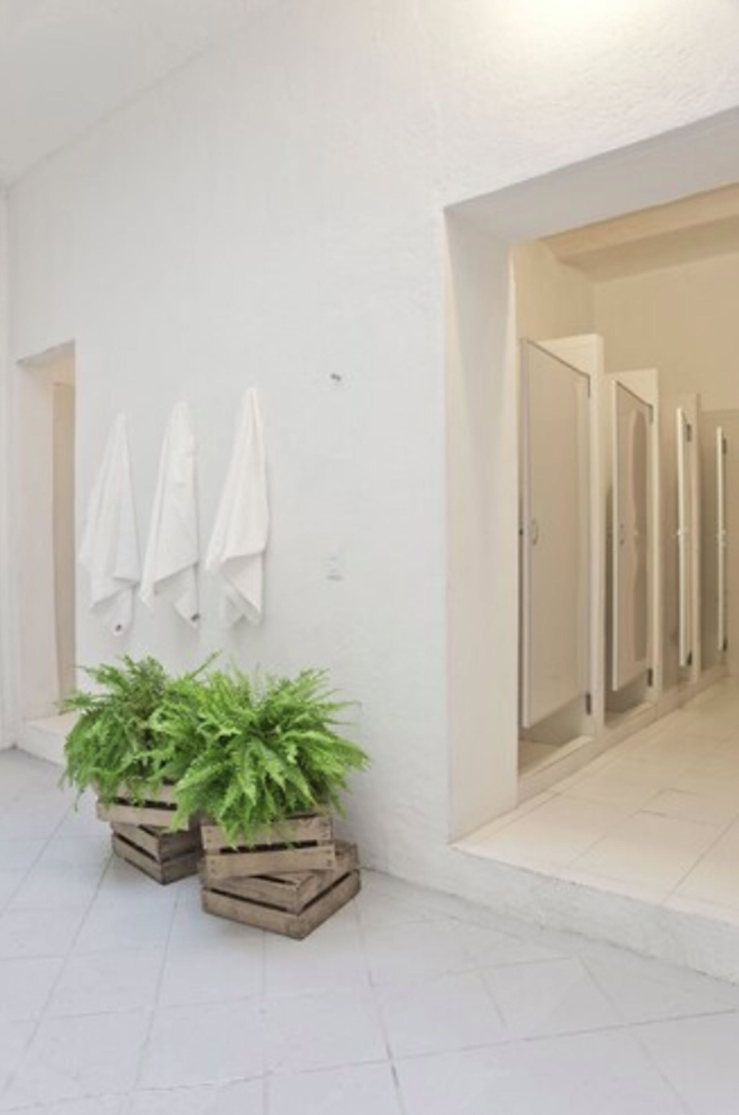 Viajero CDMX Centro Hostel