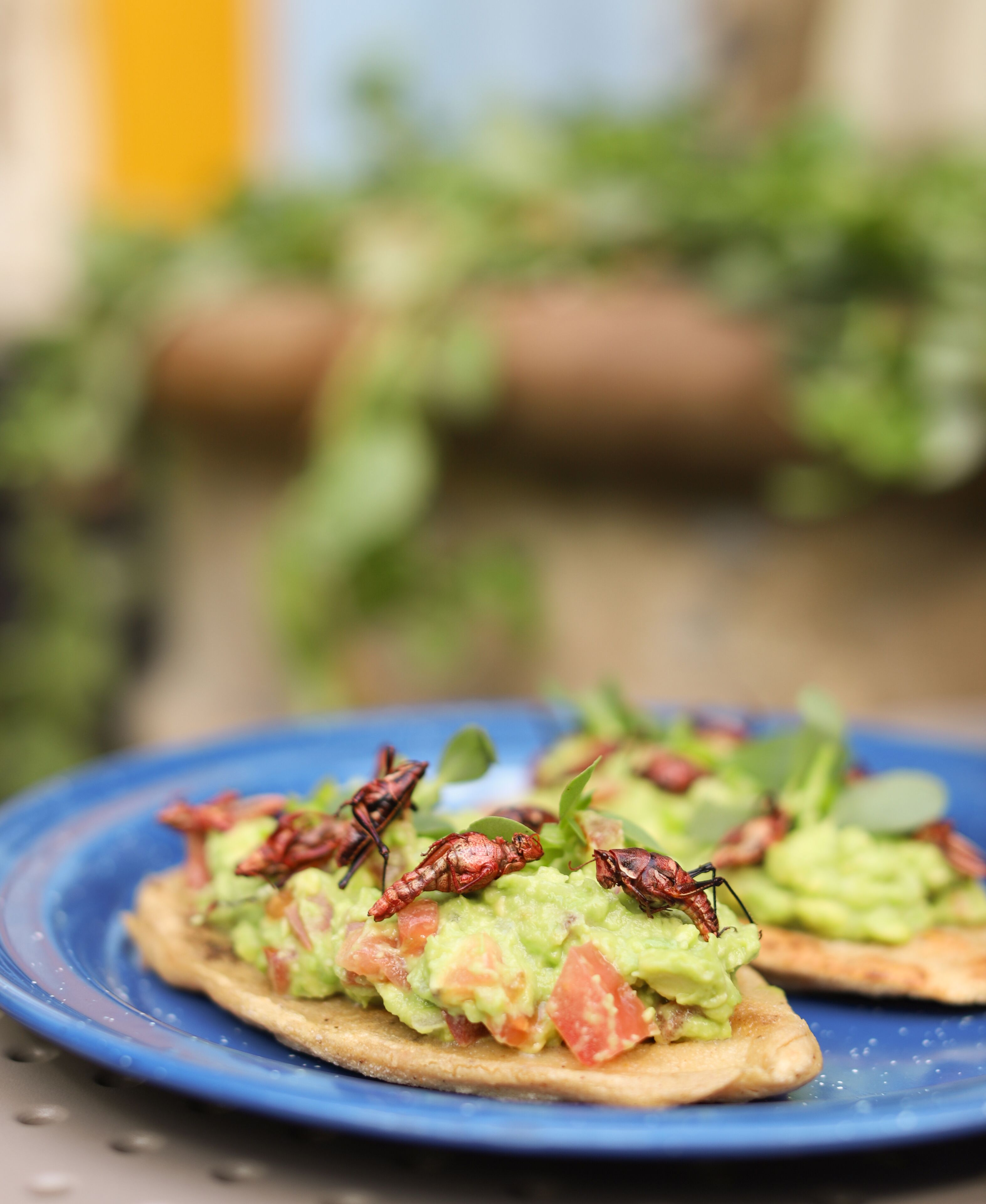 Viajero CDMX Centro Hostel