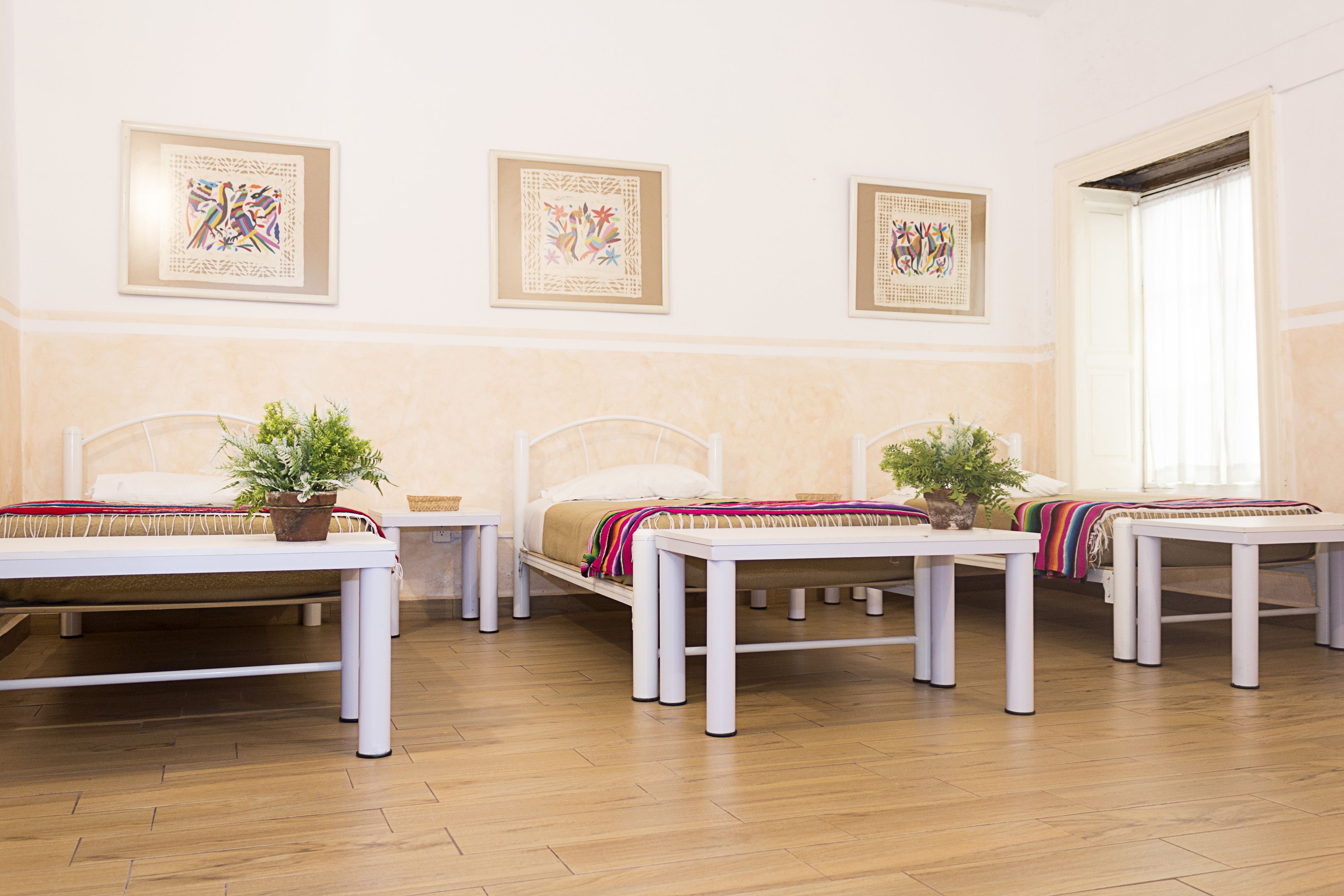 Viajero CDMX Centro Hostel