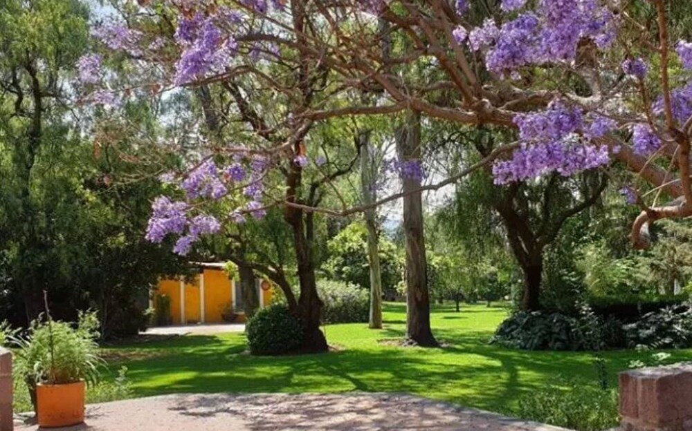 Hotel Boutique Rancho San Juan Teotihuacan