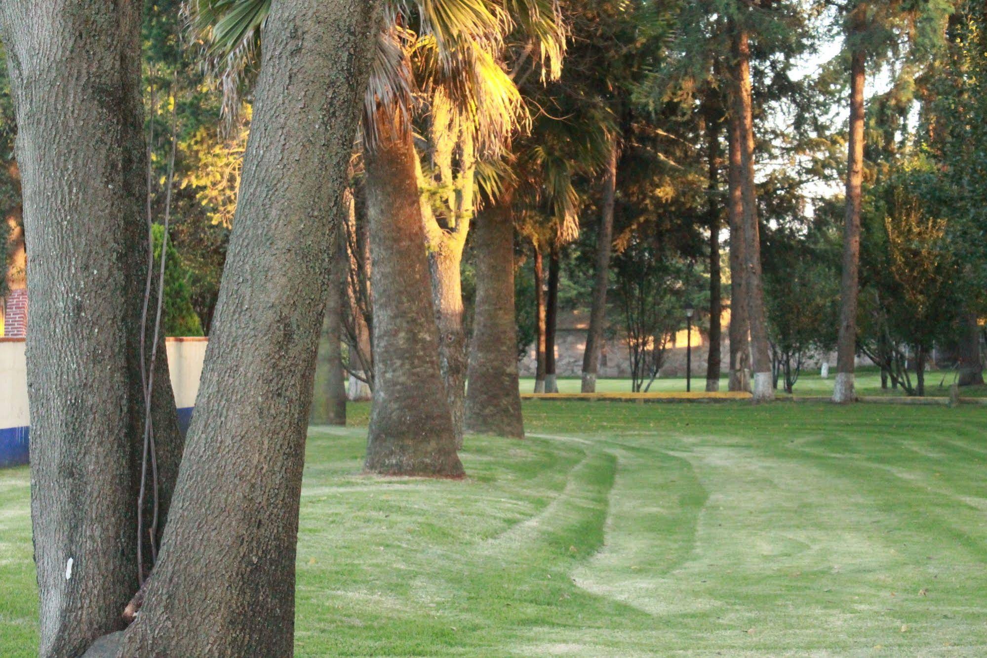 Finca Las Hortensias