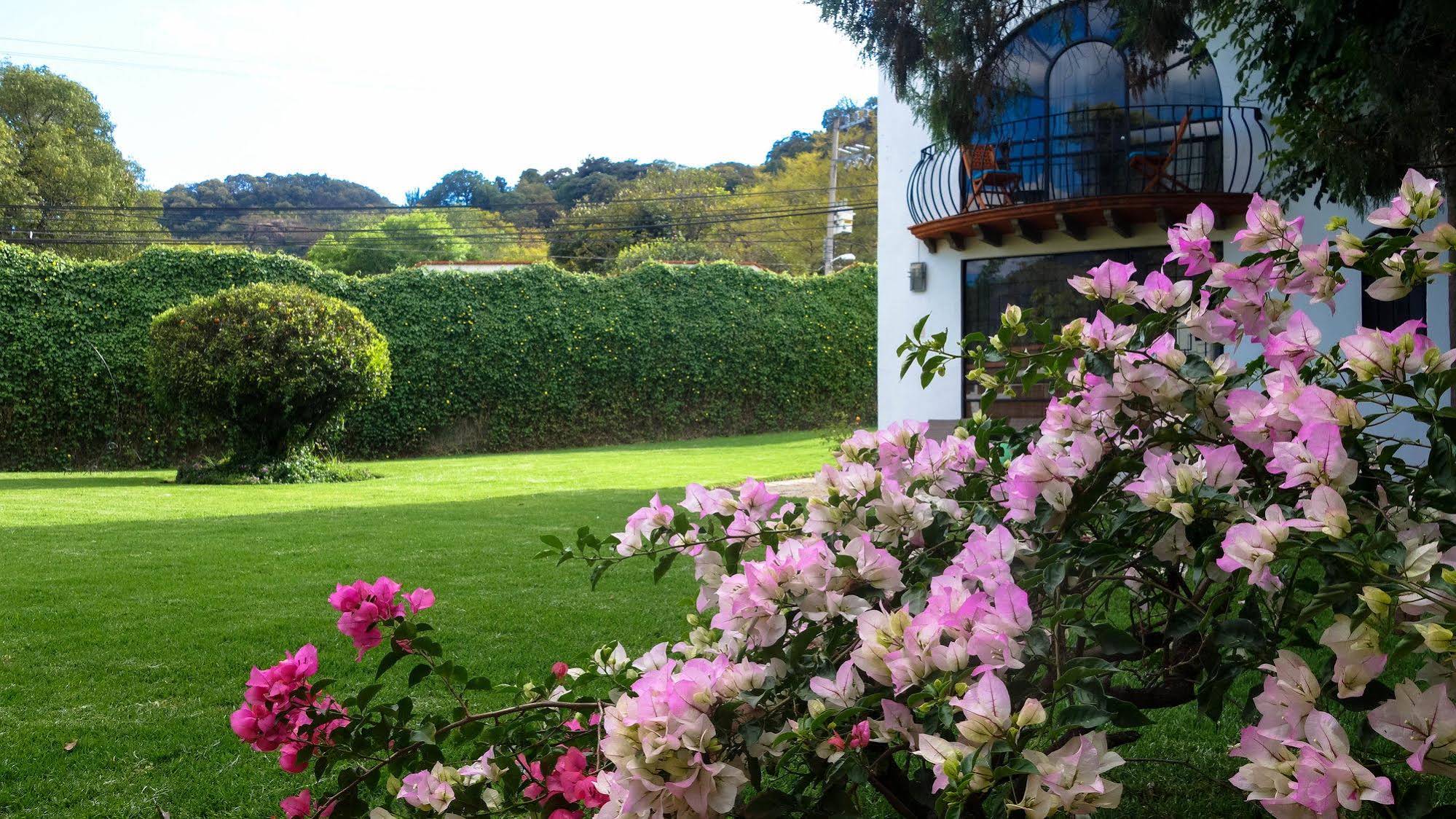 Colibri Hotel B&B