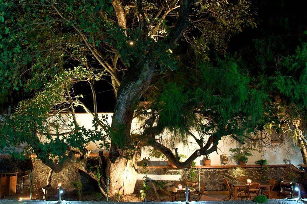 Colibri Hotel B&B