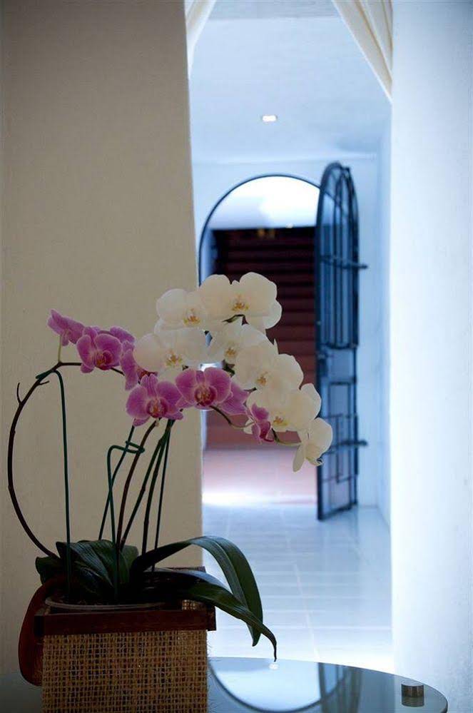 Colibri Hotel B&B