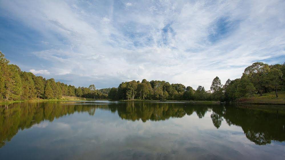 Hacienda De la Luz Resort