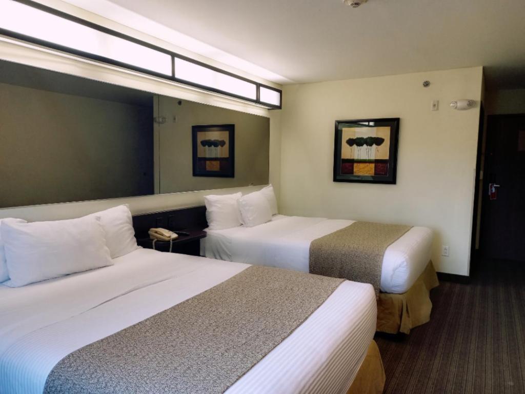 Microtel Inn & Suites by Wyndham Toluca