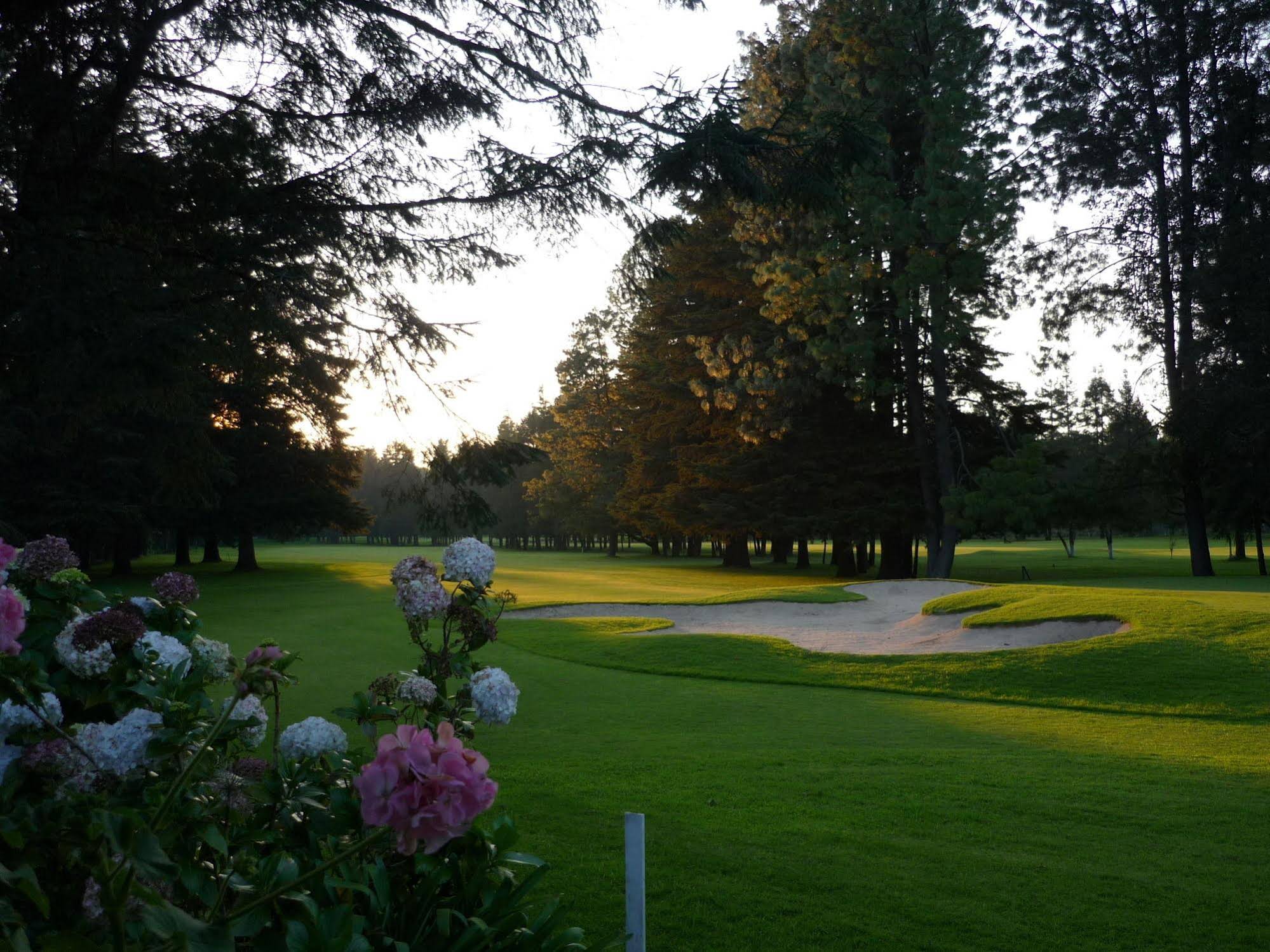 Rancho Viejo Resort & Golf