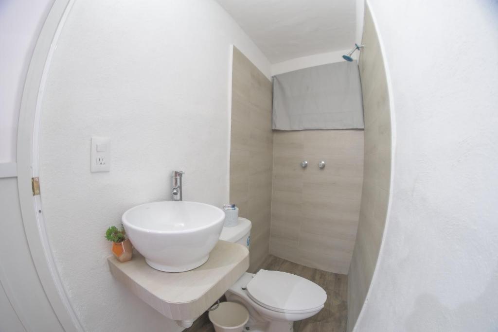 Hotel San Carlos
