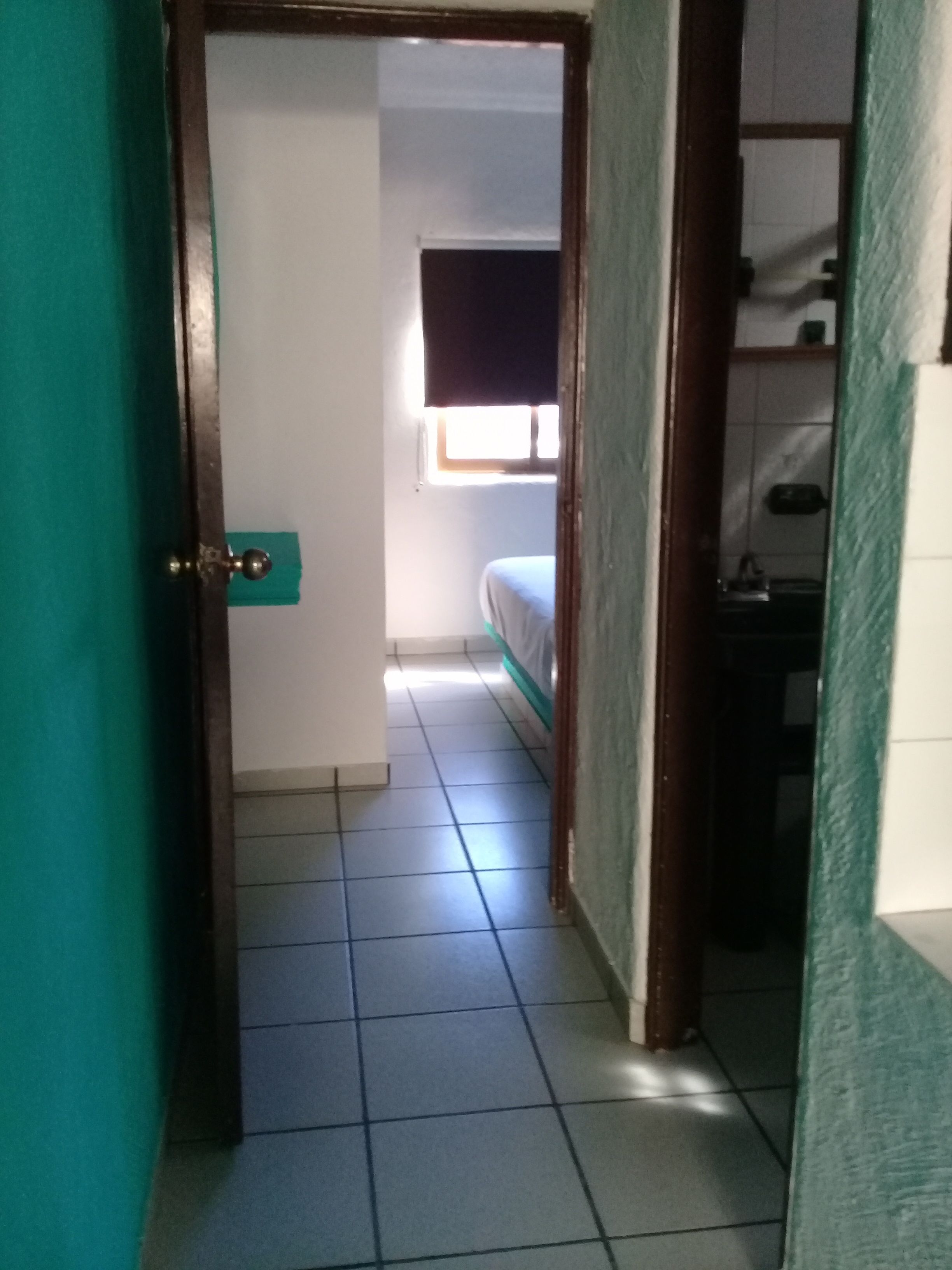 Hakal Zona Dorada Mazatlan
