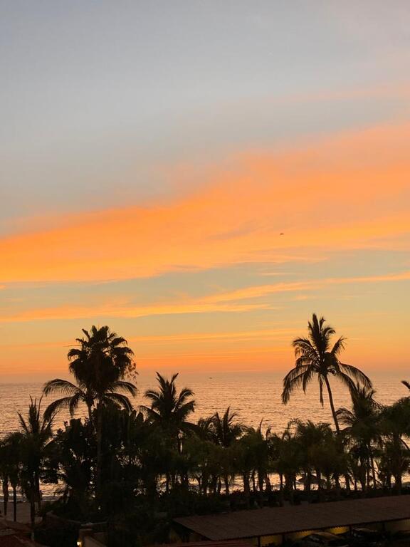 Vallarta Jr Suites