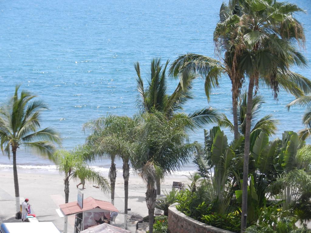 Vallarta Jr Suites