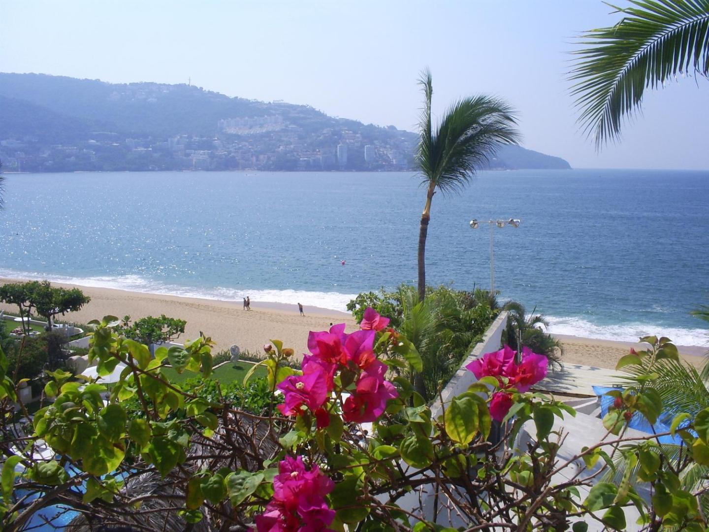 Acapulco Malibu