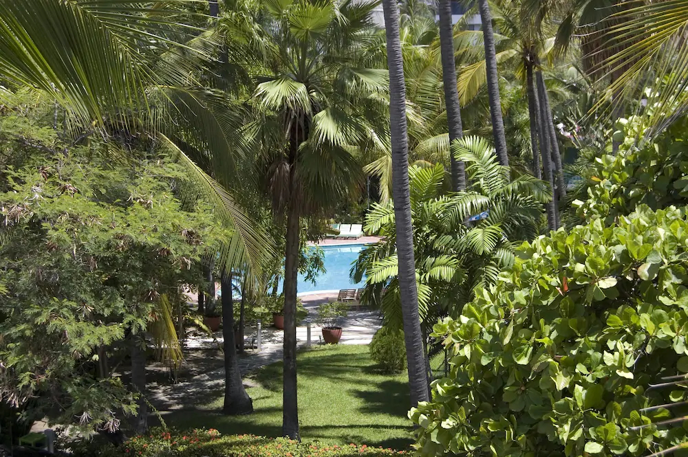 Acapulco Park Hotel