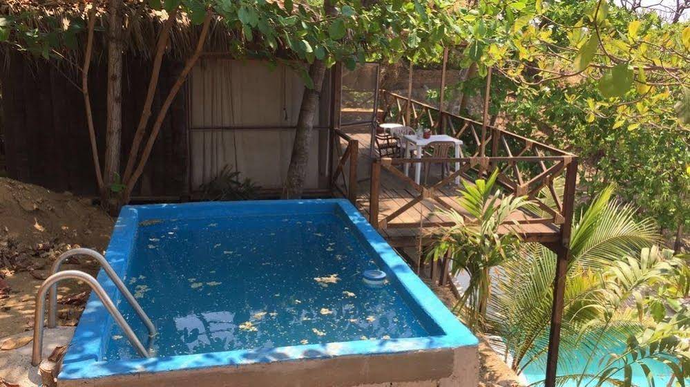 Cocos Camp